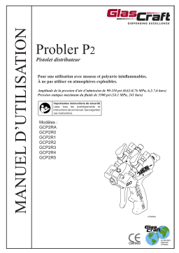 Graco 3A0472T - Probler P2 Mode d'emploi