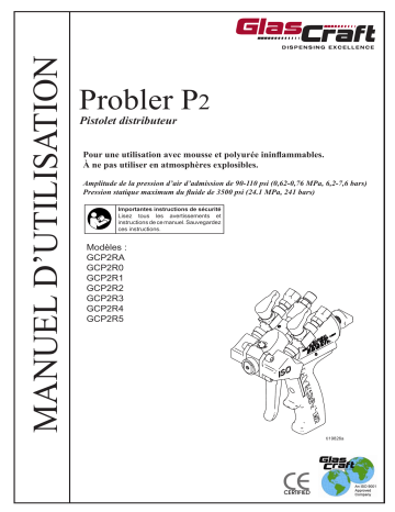 Graco 3A0472T - Probler P2 Mode d'emploi | Fixfr