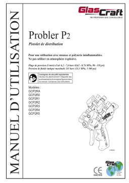 Graco 3A0472V - Probler P2 Mode d'emploi