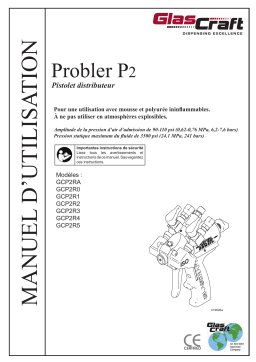 Graco 3A0472S - Probler P2 Mode d'emploi