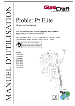 Graco 3A0474ZAB, Probler P2 Elite, Pistolet de distribution Manuel du propriétaire