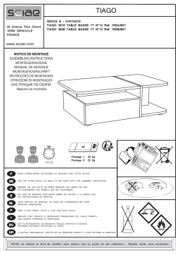 SCIAE 19SA2901 Manuel utilisateur