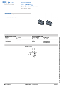 Baumer MSFN AA01X06 Magnetic scale Fiche technique