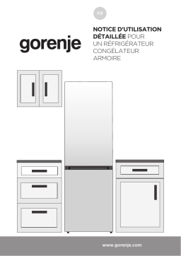 Gorenje HZF3268SED Réfrigérateur combiné pose libre NRK6192SYBK Une information important