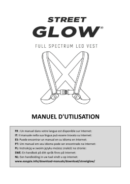 Easypix StreetGlow LED Vest Manuel utilisateur