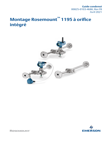 Rosemount Montage 1195 à orifice intégré Mode d'emploi | Fixfr