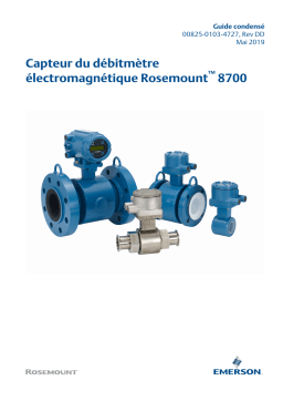 Rosemount Série 8700 Tubes de mesure pour débitmètre électromagnétique Mode d'emploi