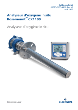 Rosemount Analyseur d’oxygène in situ CX1100 Mode d'emploi