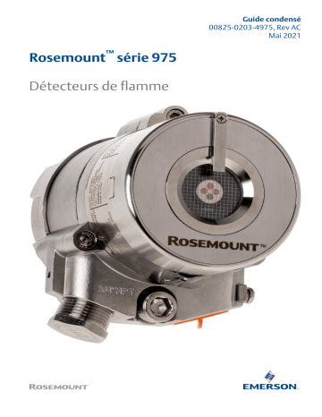 Rosemount série 975 Détecteurs de flamme Mode d'emploi | Fixfr
