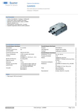 Baumer GAM900 Acceleration sensor Fiche technique