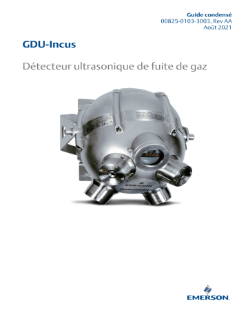 Rosemount GDU-Incus Mode d'emploi | Fixfr