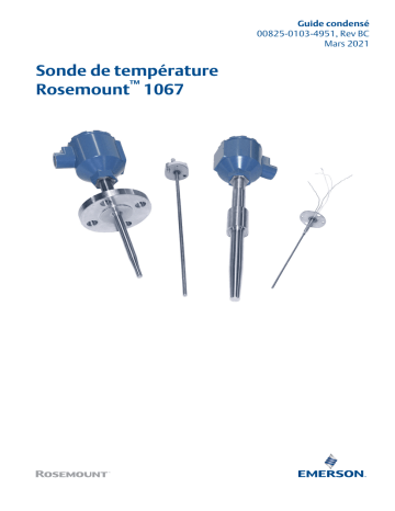 Rosemount Sonde de température 1067 Mode d'emploi | Fixfr