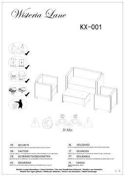 Sunvivi KX-001GR 4-Piece PE Rattan Wicker Outdoor Patio Furniture Set Mode d'emploi