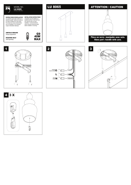 BAZZ LU8065WH Bolo Collection 3-Light Chrome Hanging Pendant Guide d'installation