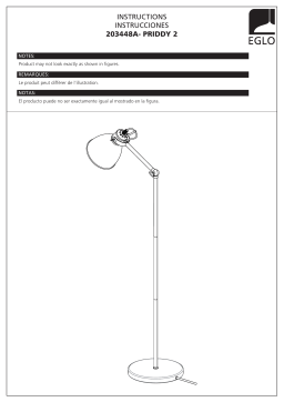 Eglo 203448A Priddy 2 54.00 in. Black Floor Lamp Mode d'emploi