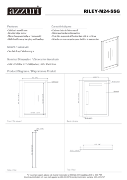 Azzuri RILEY-M24-SSG Riley 24 in. W x 32 in. H Framed Rectangular Beveled Edge Bathroom Vanity Mirror spécification