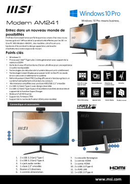 MSI COMPUTER MSI Modern AM271P 11M-025EU spécification