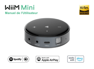 Arylic Wiim Mini Airplay 2 Music Streamer Manuel utilisateur | Fixfr