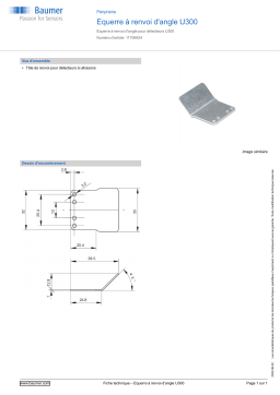 Baumer Sonic beam deflector U300 Peripheral Fiche technique