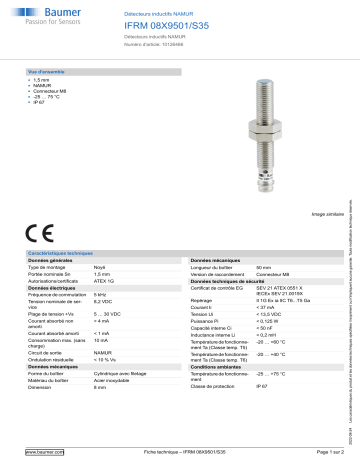 Baumer IFRM 08X9501/S35 Inductive sensors NAMUR Fiche technique | Fixfr