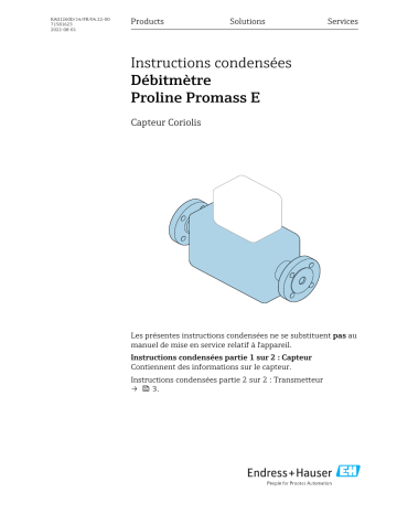 Endres+Hauser Flowmeter Proline Promass E Manuel utilisateur | Fixfr