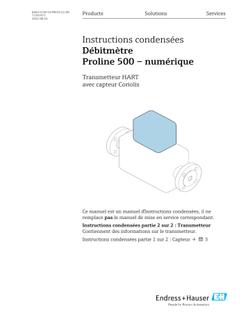 Endres+Hauser Flowmeter Proline 500 – digital Manuel utilisateur | Fixfr