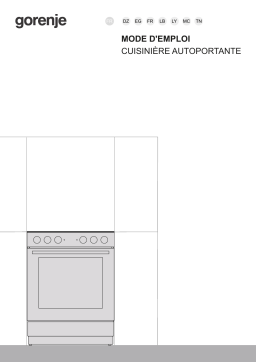 Gorenje FR6A1A-GSDC2 Cuisinière électrique GEC6A11SG Une information important