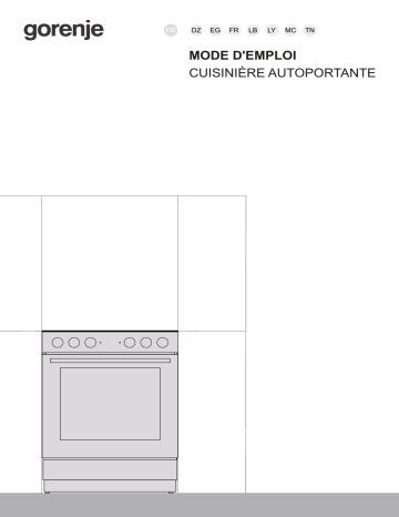 Gorenje FR6A1A-GSDC2 Cuisinière électrique GEC6A11SG Une information important | Fixfr