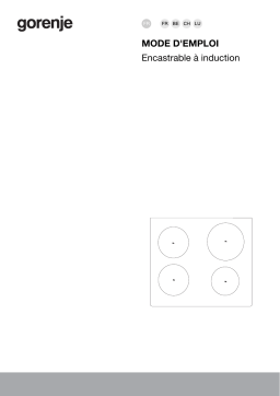 Gorenje BI6BC-S0 Table de cuisson à induction IS645BSC Une information important