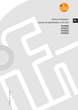IFM DV2920 20-LED light tower Mode d'emploi