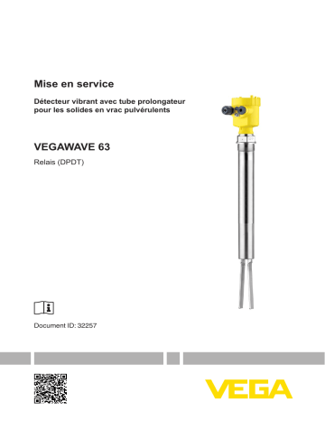 Vega VEGAWAVE 63 Vibrating level switch with tube extension for powders Mode d'emploi | Fixfr