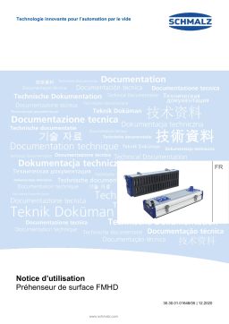 Schmalz  FMHD 1050x250 2R28 O20 G60 Vacuum area gripping system for external vacuum generator ball check valves  Mode d'emploi