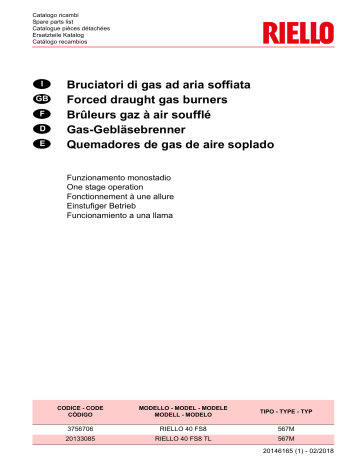 Riello R40 FS8 1/230/50 Manuel utilisateur | Fixfr