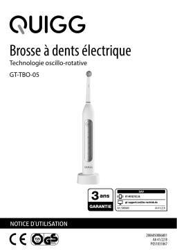 Quigg GT-TBS-06 Toothbrush assortment Manuel utilisateur