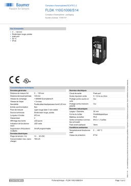 Baumer FLDK 110G1006/S14 Copy counter Fiche technique