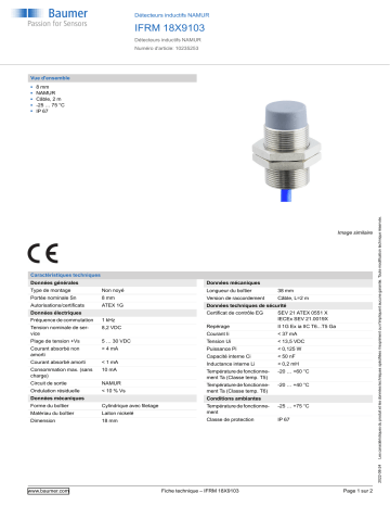 Baumer IFRM 18X9103 Inductive sensors NAMUR Fiche technique | Fixfr