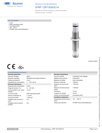 Baumer IFRP 12P1504/S14 Inductive sensors special version Fiche technique | Fixfr