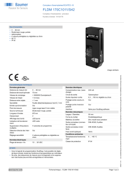 Baumer FLDM 170C1011/S42 Copy counter Fiche technique