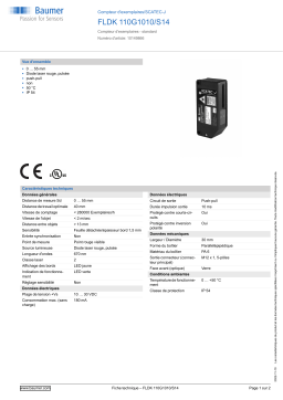 Baumer FLDK 110G1010/S14 Copy counter Fiche technique