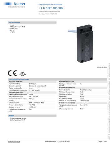 Baumer ILFK 12P1101/I06 Inductive sensors special version Fiche technique | Fixfr