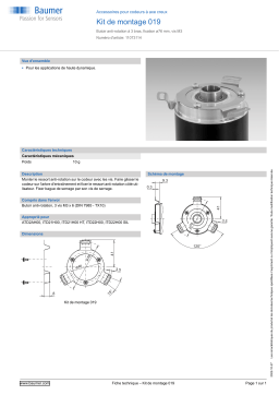 Baumer Mounting kit 019 Mounting hollow shaft encoder Fiche technique