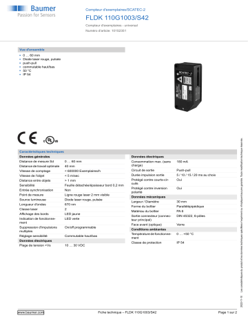 Baumer FLDK 110G1003/S42 Copy counter Fiche technique | Fixfr