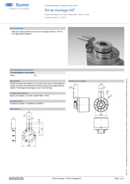 Baumer Mounting kit 047 Mounting hollow shaft encoder Fiche technique