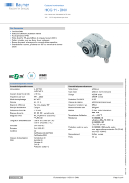 Baumer HOG 11 - DNV Incremental encoder Fiche technique