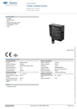 Baumer FSDM 12D9601/S35A Through beam sensor Fiche technique