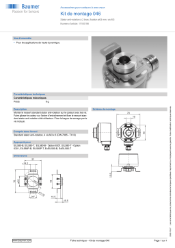 Baumer Mounting kit 046 Mounting hollow shaft encoder Fiche technique