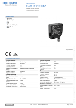 Baumer FEDM 12P5101/S35A Through beam sensor Fiche technique