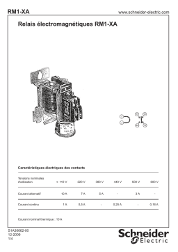 Schneider Electric RM1-XA single-pole magnetic overcurrent relays Manuel utilisateur