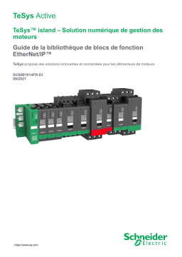 Schneider Electric TeSys™ island Mode d'emploi