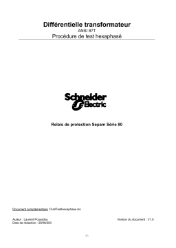 Schneider Electric Différentielle transformateur -ANSI 87T- Procédure de test hexaphasé et outil Mode d'emploi